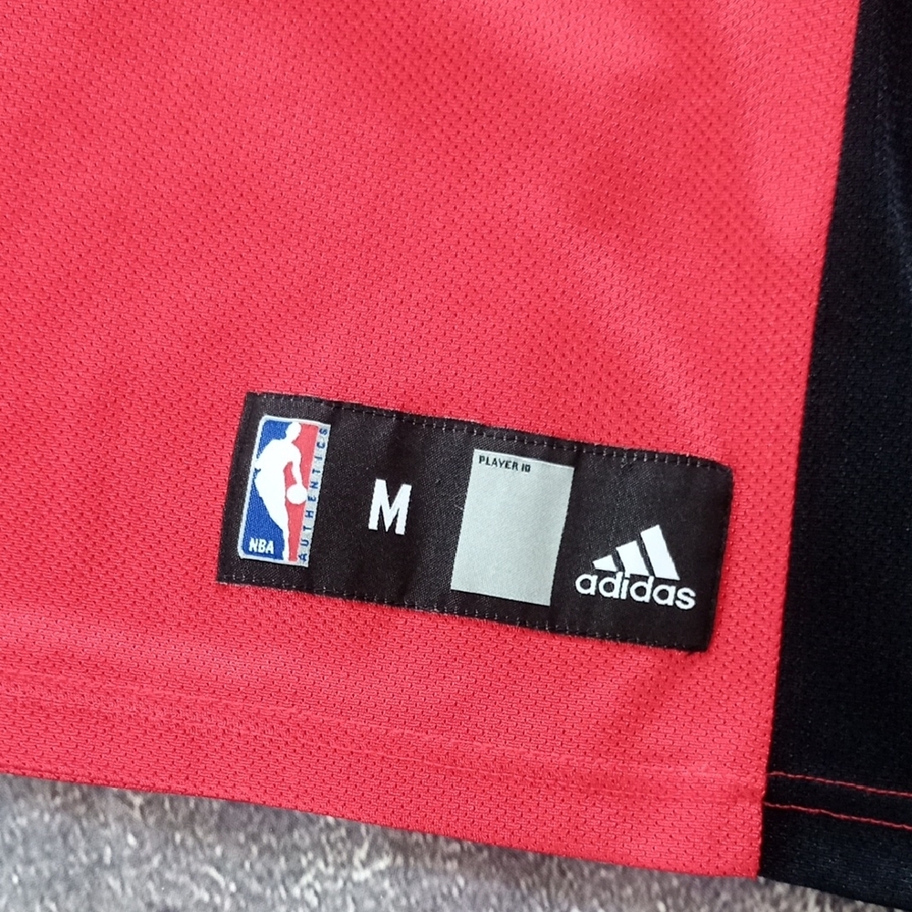 NBA TJ FORD #11 TORONTO RAPTORS BASKETBALL JERSEY - Picture 4 of 9
